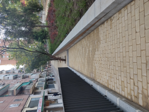 OBRAS DE MEJORA DE ACCESIBILIDAD EN LA CALLE PAN Y TOROS