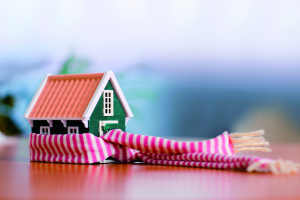 ENERGY SAVING AND WARM HOMES STRATEGY