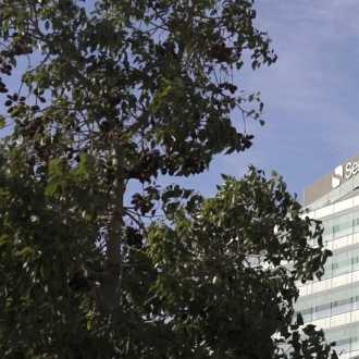 Servihabitat Servicios Inmobiliarios SL 